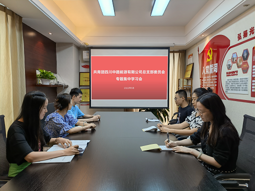 中路公司团总支组织开展专题集中学习会.png 中路公司团总支组织开展专题集中学习会.png