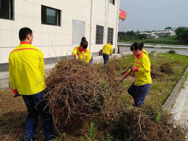 图片877.png 图片877.png